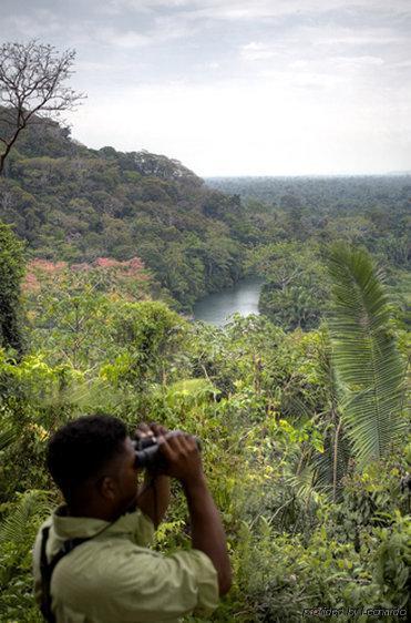 Machaca Hill Rainforest Canopy Lodge Punta Gorda Dış mekan fotoğraf