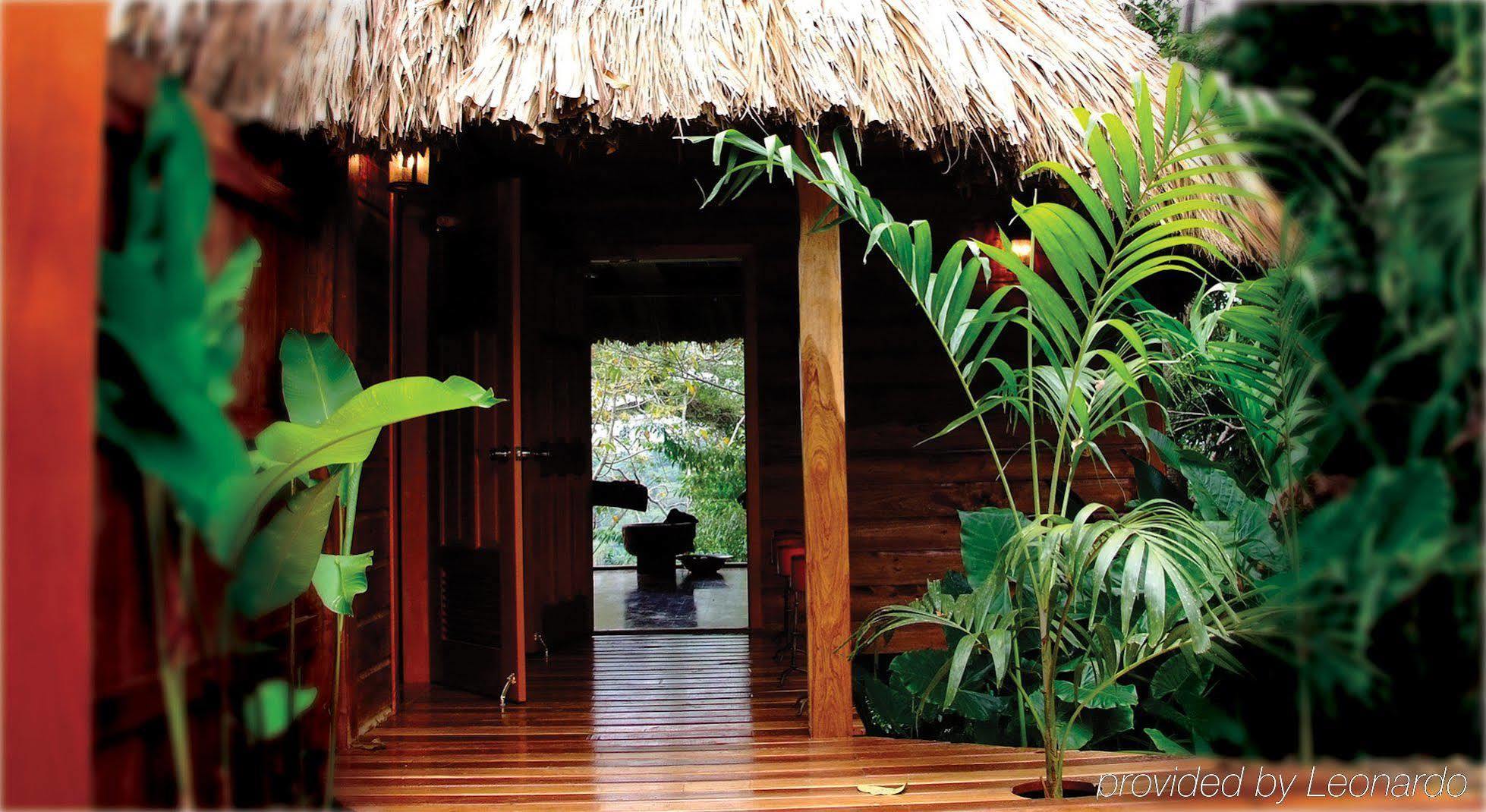 Machaca Hill Rainforest Canopy Lodge Punta Gorda Dış mekan fotoğraf
