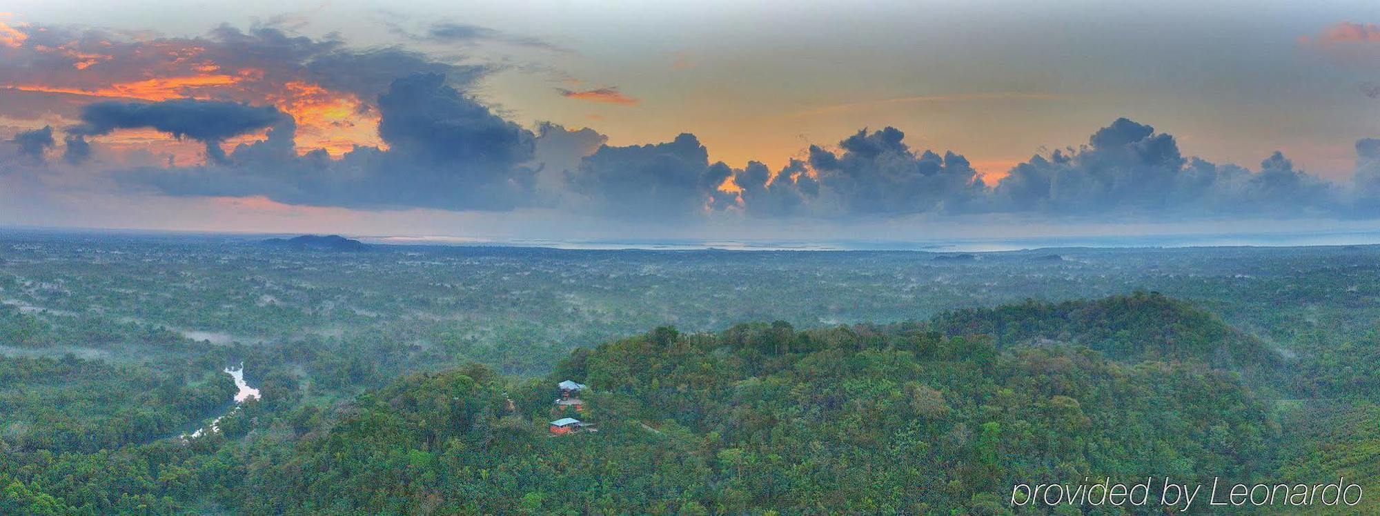 Machaca Hill Rainforest Canopy Lodge Punta Gorda Dış mekan fotoğraf